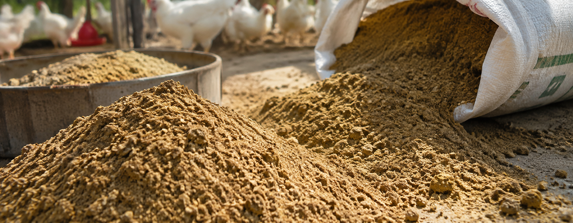 Why Choose GarudaaProtein